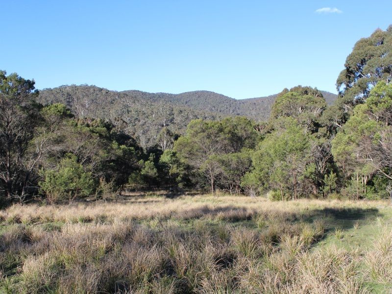 - Grey Myrtle Road, Wyndham NSW 2550