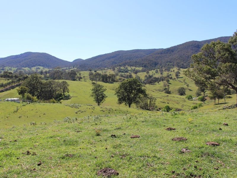 59 Bellemount Lane, Brogo NSW 2550