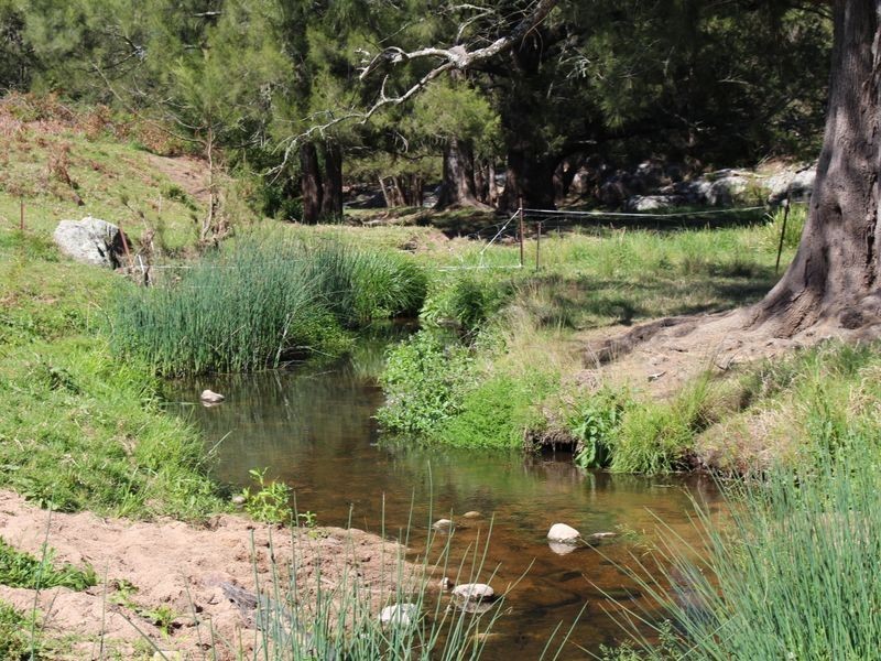 59 Bellemount Lane, Brogo NSW 2550