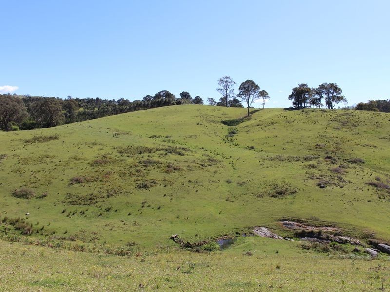 59 Bellemount Lane, Brogo NSW 2550