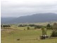 Lot 9 Robertson Street, Bemboka NSW 2550