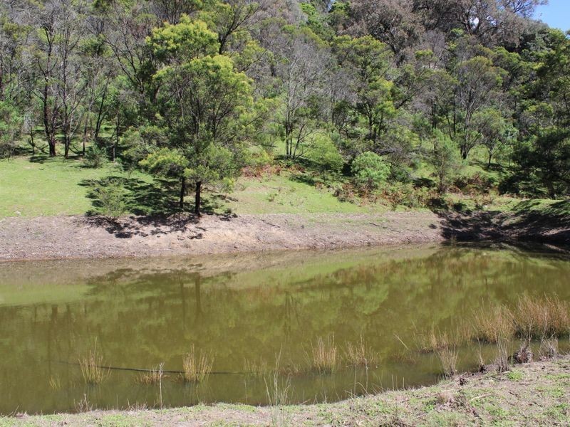 1321 Big Jack Mountain Road, Rocky Hall NSW 2550