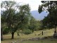 1321 Big Jack Mountain Road, Rocky Hall NSW 2550