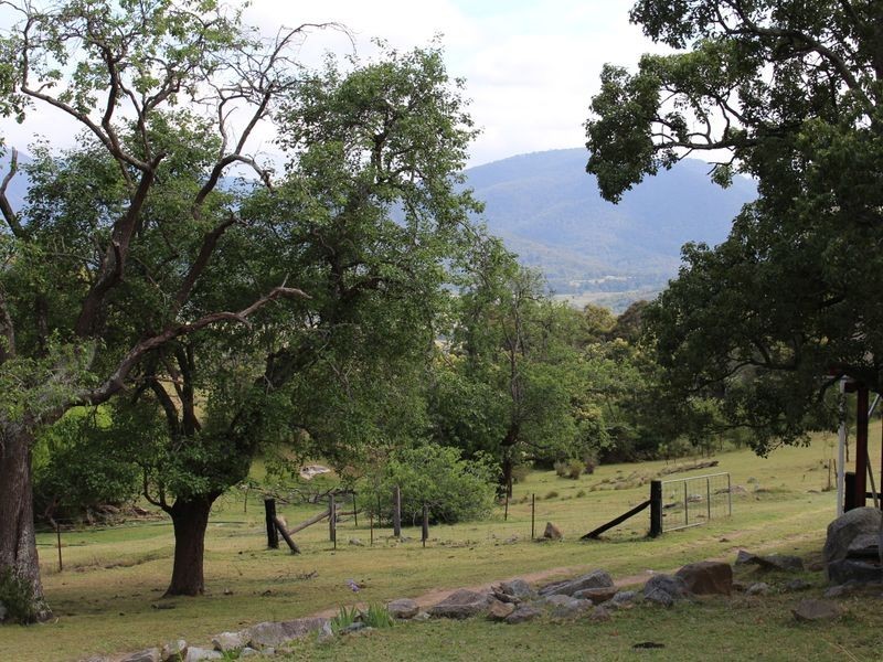 1321 Big Jack Mountain Road, Rocky Hall NSW 2550