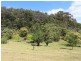 1321 Big Jack Mountain Road, Rocky Hall NSW 2550