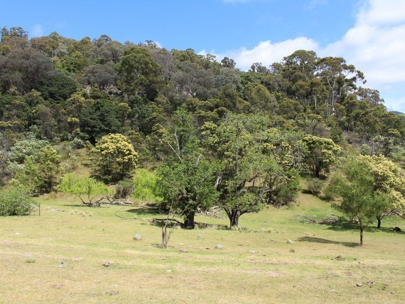 1321 Big Jack Mountain Road, Rocky Hall NSW 2550