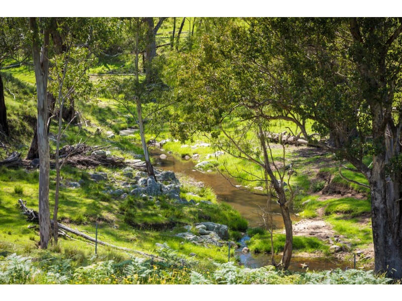 32 Mynora Lane, Cobargo NSW 2550