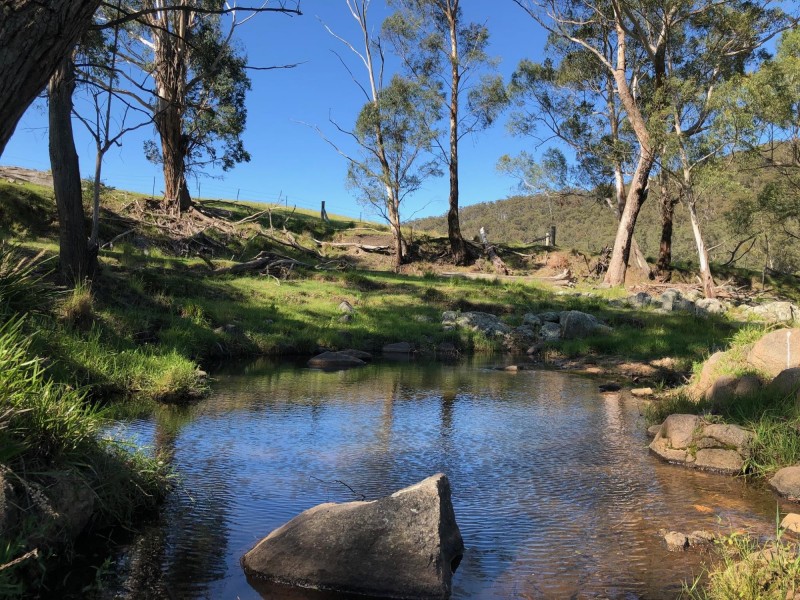 32 Mynora Lane, Cobargo NSW 2550