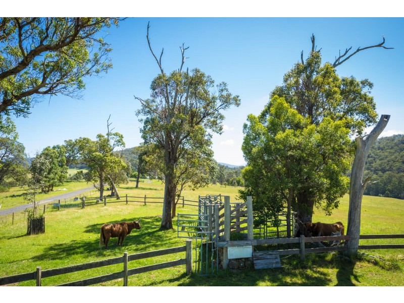 32 Mynora Lane, Cobargo NSW 2550