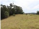 Lot 551 Emma Road (Tarraganda), Bega NSW 2550