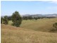 Lot 551 Emma Road (Tarraganda), Bega NSW 2550