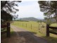 11 Glisson Watson Road, Cobargo NSW 2550