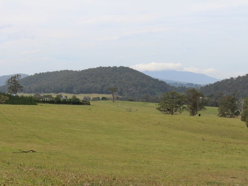 11 Glisson Watson Road, Cobargo NSW 2550