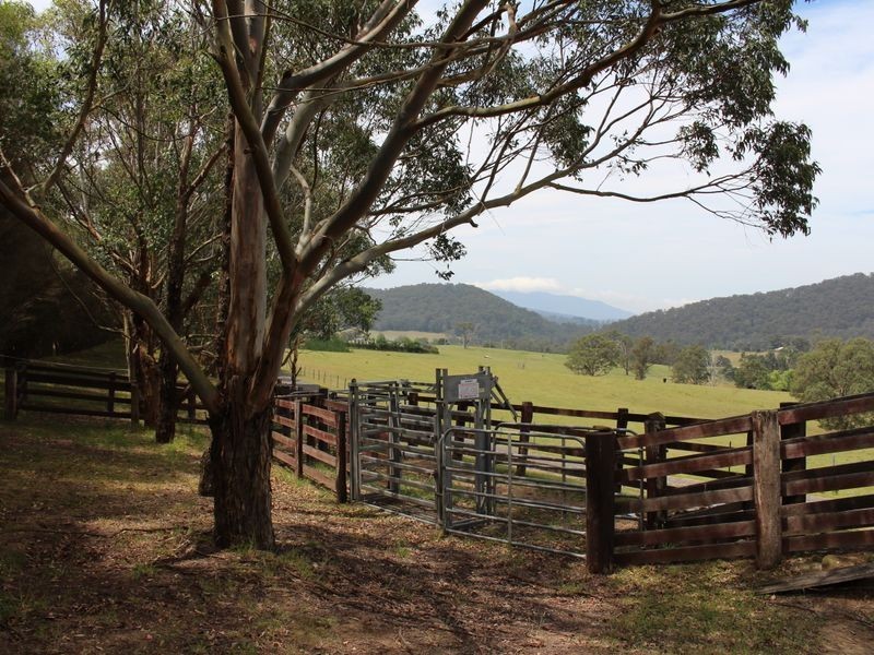 11 Glisson Watson Road, Cobargo NSW 2550