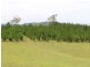 11 Glisson Watson Road, Cobargo NSW 2550