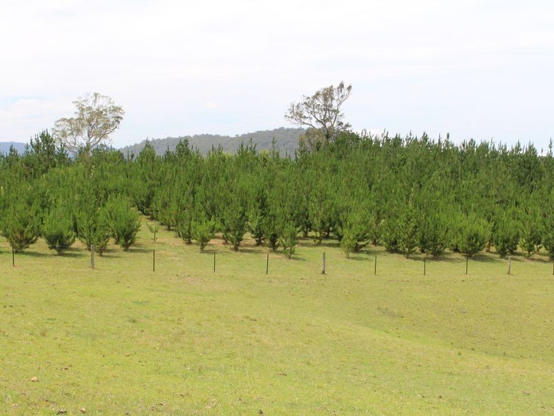 11 Glisson Watson Road, Cobargo NSW 2550
