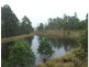535 Devils Hole Road, Wyndham NSW 2550