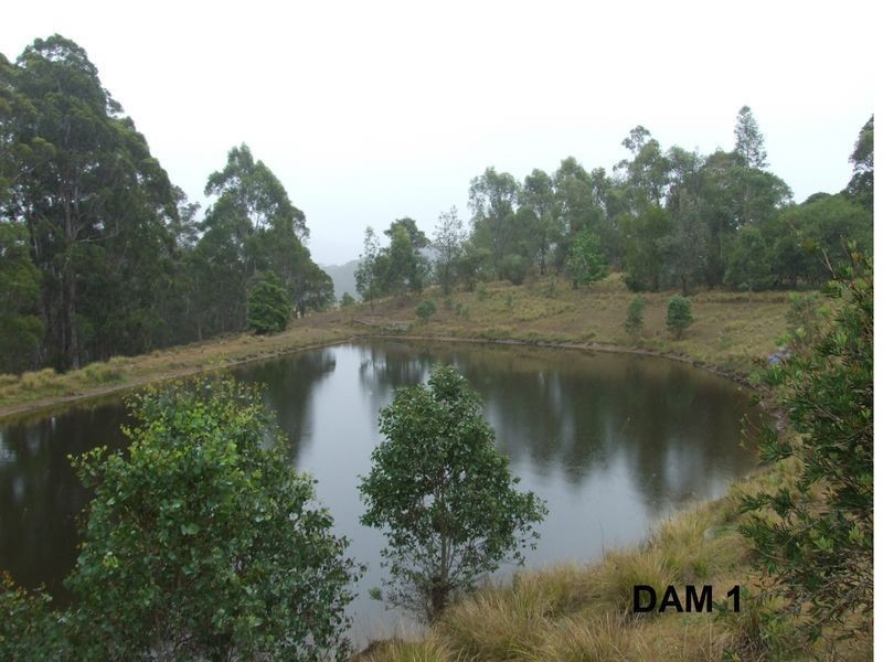 535 Devils Hole Road, Wyndham NSW 2550