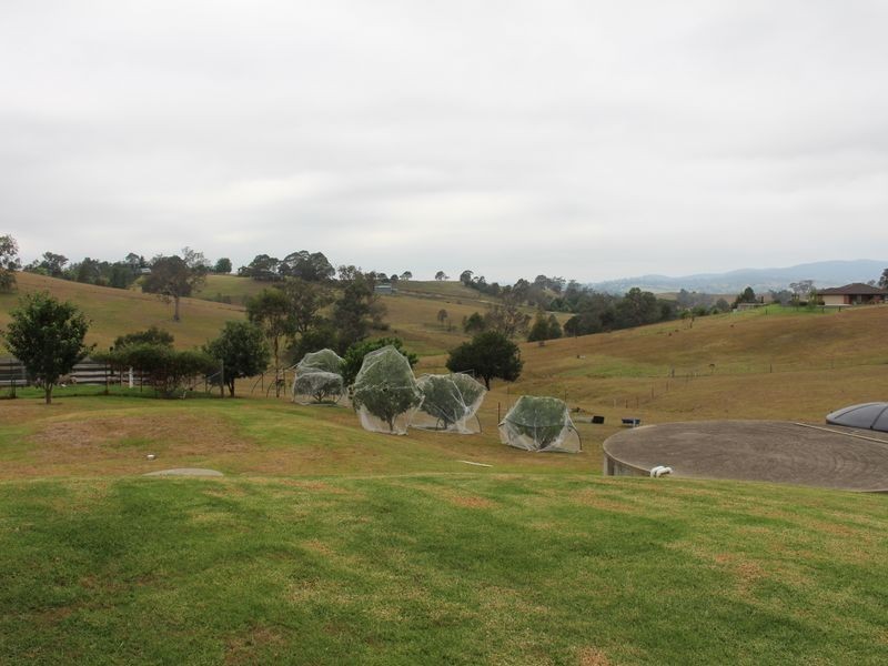 11 Watersons Road, Bega NSW 2550