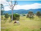 70 Corridgeree Lane, Tarraganda NSW 2550