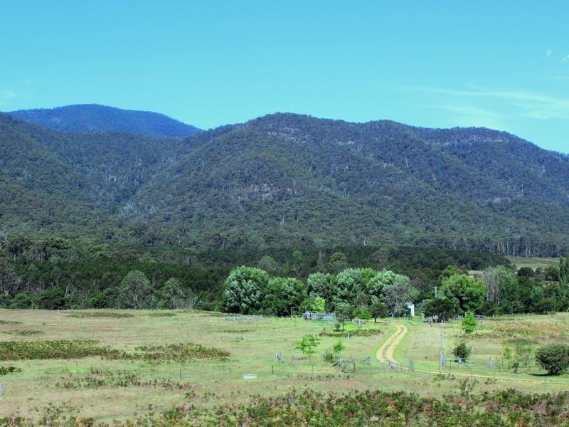 520 Yankees Gap Road, Bemboka NSW 2550