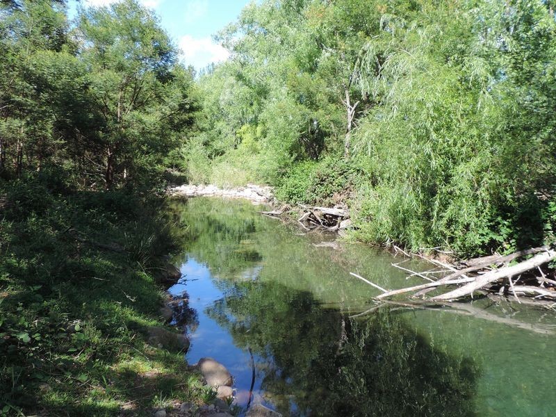 520 Yankees Gap Road, Bemboka NSW 2550