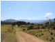 520 Yankees Gap Road, Bemboka NSW 2550