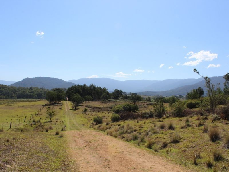 520 Yankees Gap Road, Bemboka NSW 2550