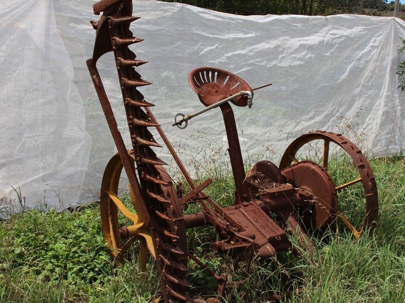 049 Murrays Flat Road, Tarraganda NSW 2550