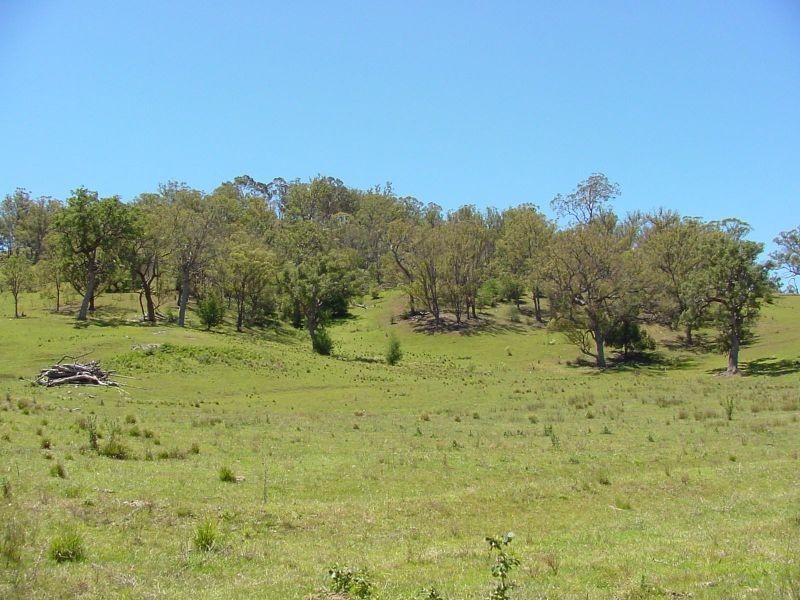 Lot 9 Slaters Lane, Candelo NSW 2550