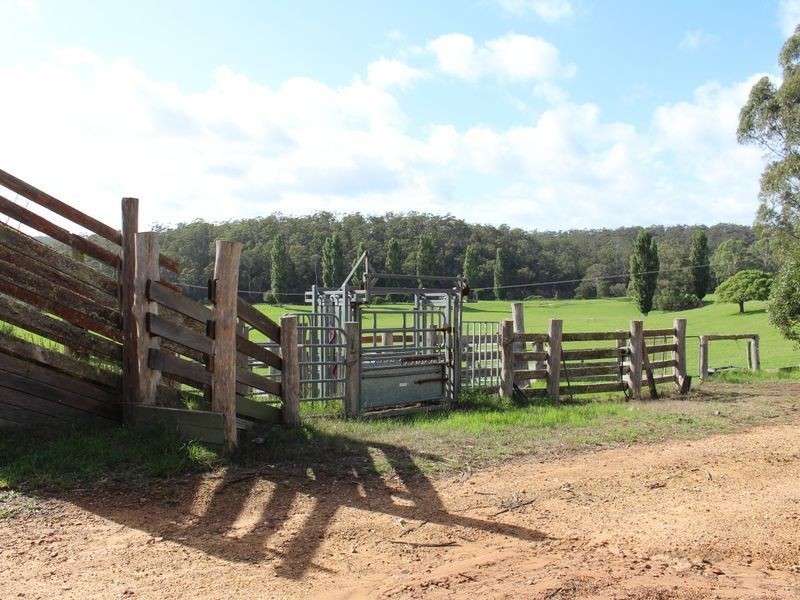 4 Jim McMahon Drive, Kiah NSW 2551