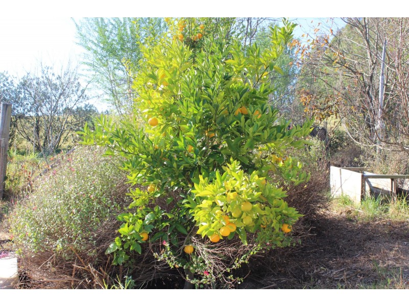 26 Little Glen Oaks Road, Greendale NSW 2550