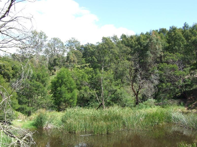 Lot 3 Israels Road, Brogo NSW 2550