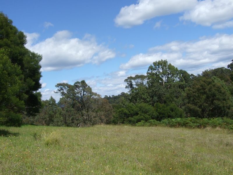 Lot 3 Israels Road, Brogo NSW 2550