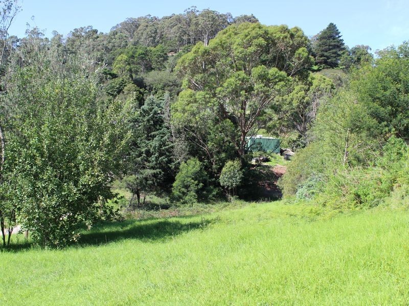 21 Scott Street, Wolumla NSW 2550