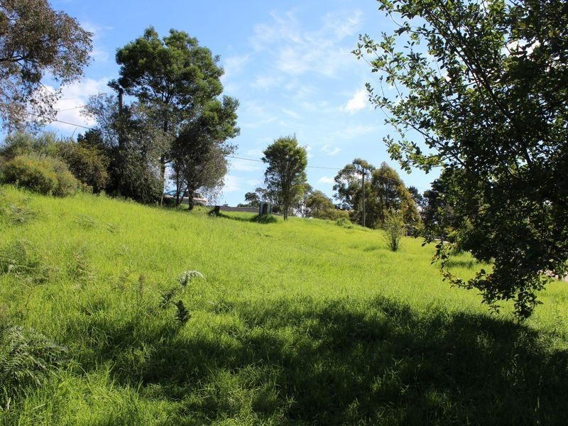 21 Scott Street, Wolumla NSW 2550