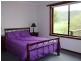 68 Cole Salways Rd, Cobargo NSW 2550