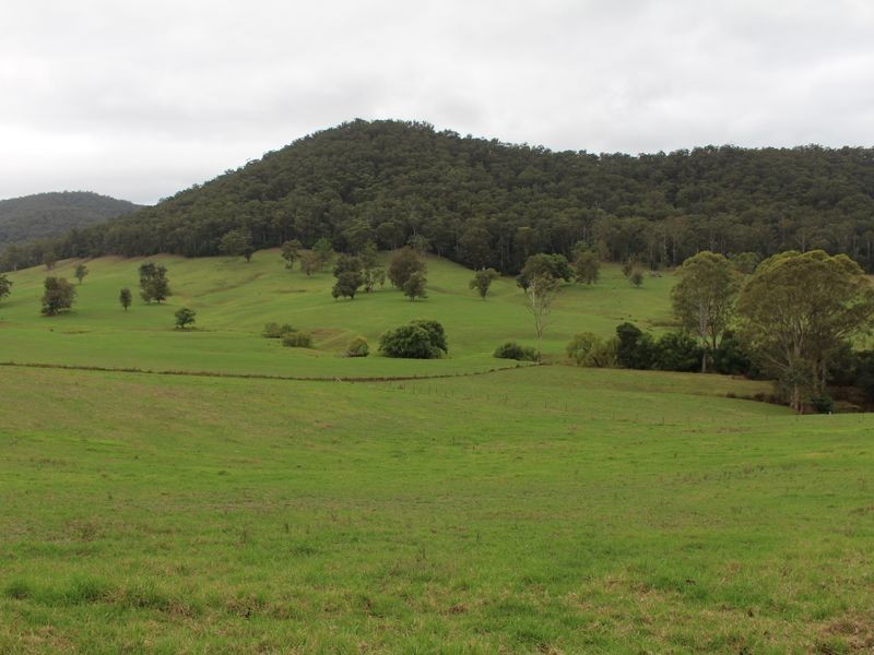 68 Cole Salways Rd, Cobargo NSW 2550
