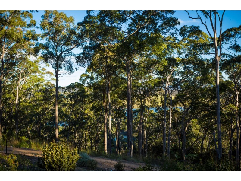 91 Goats Knob Road, Tathra NSW 2550
