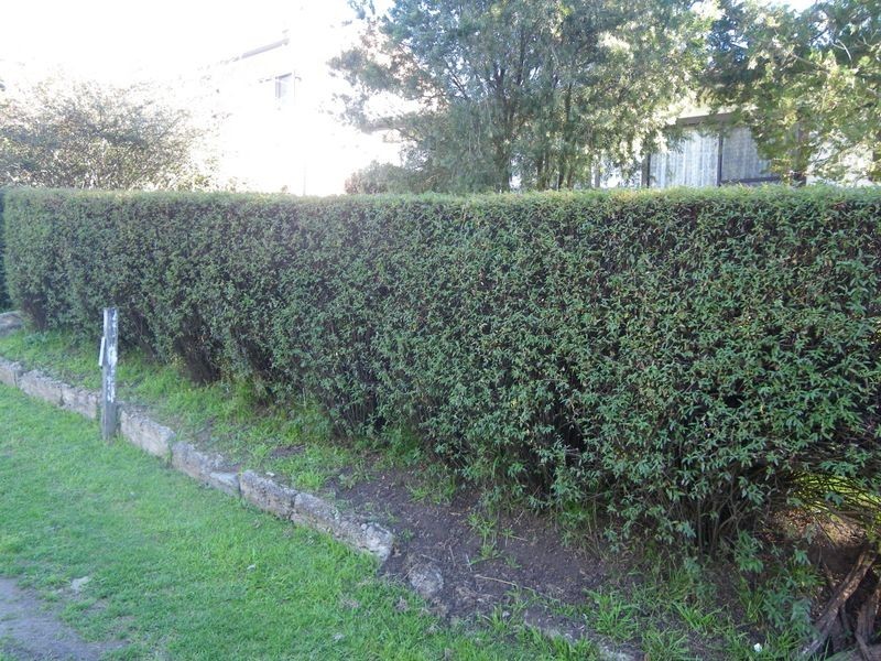 3 Dowling Street, Bega NSW 2550