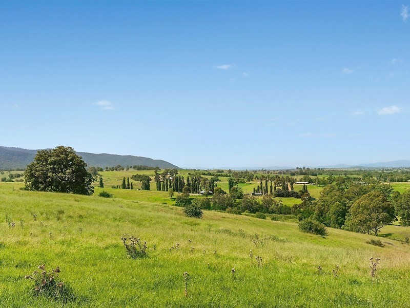 191 Yankees Gap Road, Bemboka NSW 2550