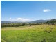 191 Yankees Gap Road, Bemboka NSW 2550