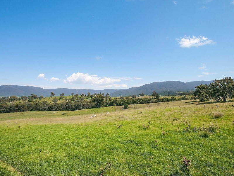191 Yankees Gap Road, Bemboka NSW 2550
