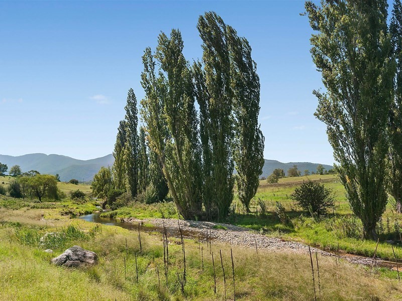 191 Yankees Gap Road, Bemboka NSW 2550