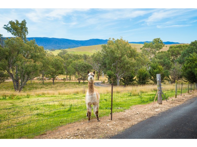 102 Niagara Lane, Tantawangalo NSW 2550