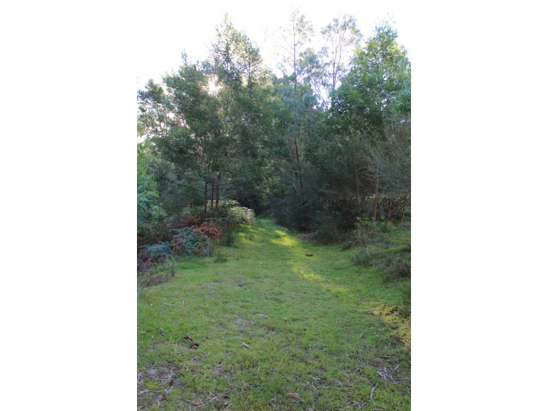 Lot 202 Princes Highway, Wolumla NSW 2550