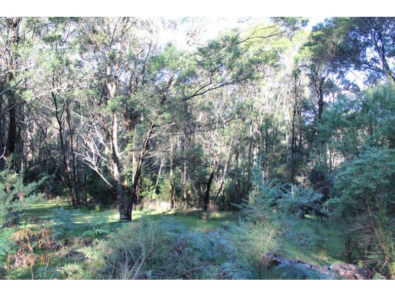 Lot 202 Princes Highway, Wolumla NSW 2550