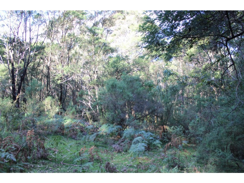 Lot 202 Princes Highway, Wolumla NSW 2550