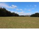 141 Bourkes Road, Yowrie NSW 2550