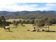 141 Bourkes Road, Yowrie NSW 2550